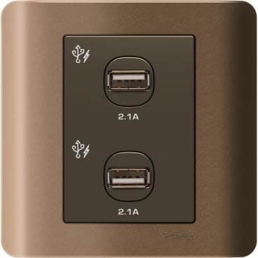 ZENcelo - 2 x 2.1A USB Charger - Silver Bronze